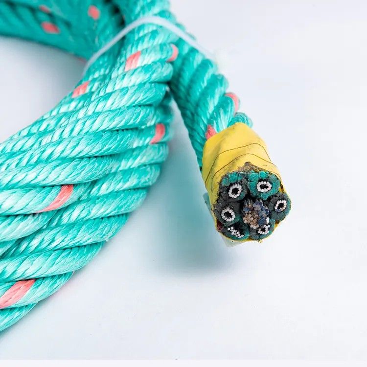 Polyethylene Twisted Lead Core Rope With Sinking Rope for Fishing PP Danline