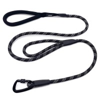 Premium Quality Double Handle Climbing Rope Dog Lead Reflective Nylon Leash with a Locking Carabiner