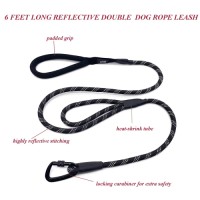 Premium Quality Double Handle Climbing Rope Dog Lead Reflective Nylon Leash with a Locking Carabiner