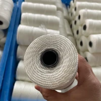 Wholesale Manufacturer Custom Nylon Twisted String Nylon Masonary String Mason Line