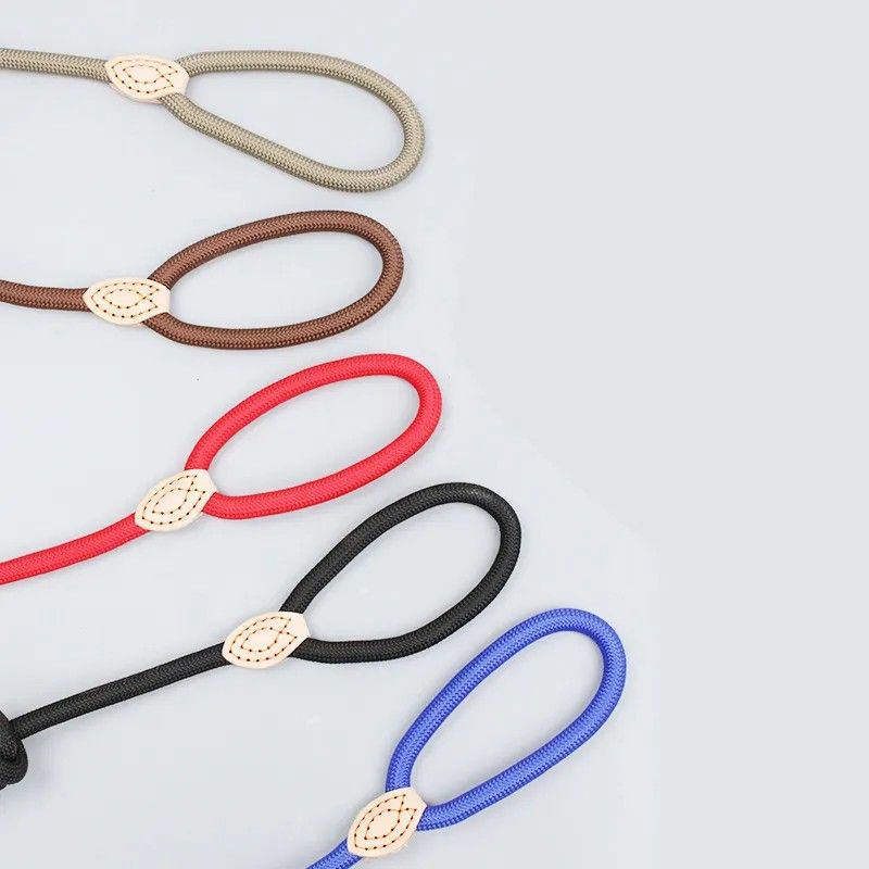 Custom Nylon Heavy Duty Rope Pet Training Leash 150cm 5 FT Slip Dog Leash