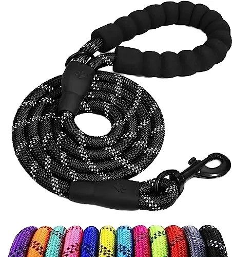 Premium Quality Double Handle Climbing Rope Dog Lead Reflective Nylon Leash with a Locking Carabiner