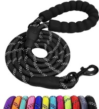 Premium Quality Double Handle Climbing Rope Dog Lead Reflective Nylon Leash with a Locking Carabiner